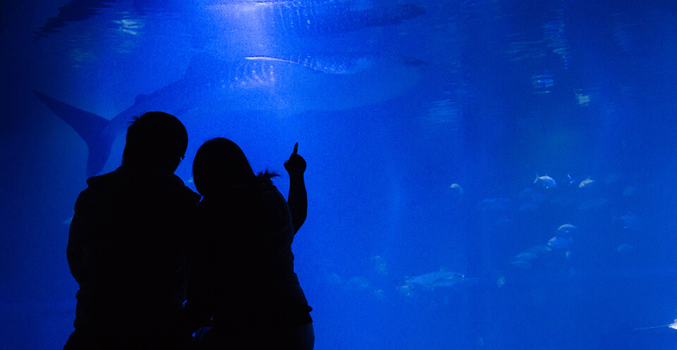 水族館_男女