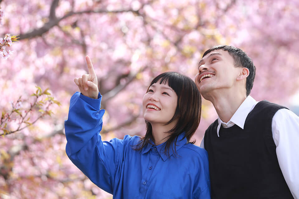 桜_カップル