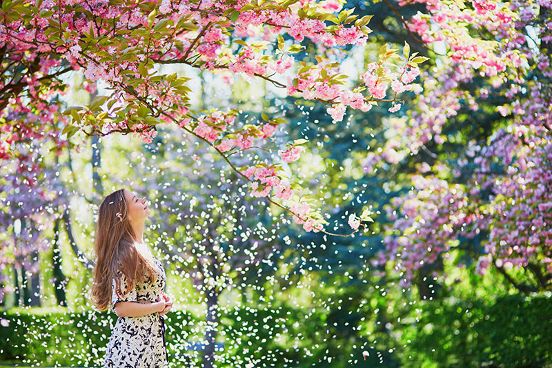 桜_女
