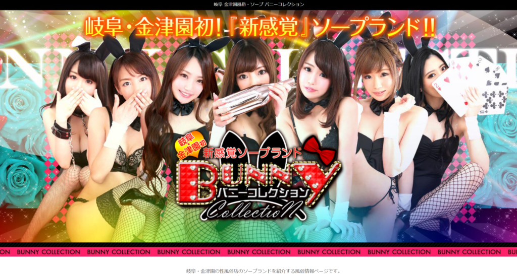 【激安店】バニーコレクション