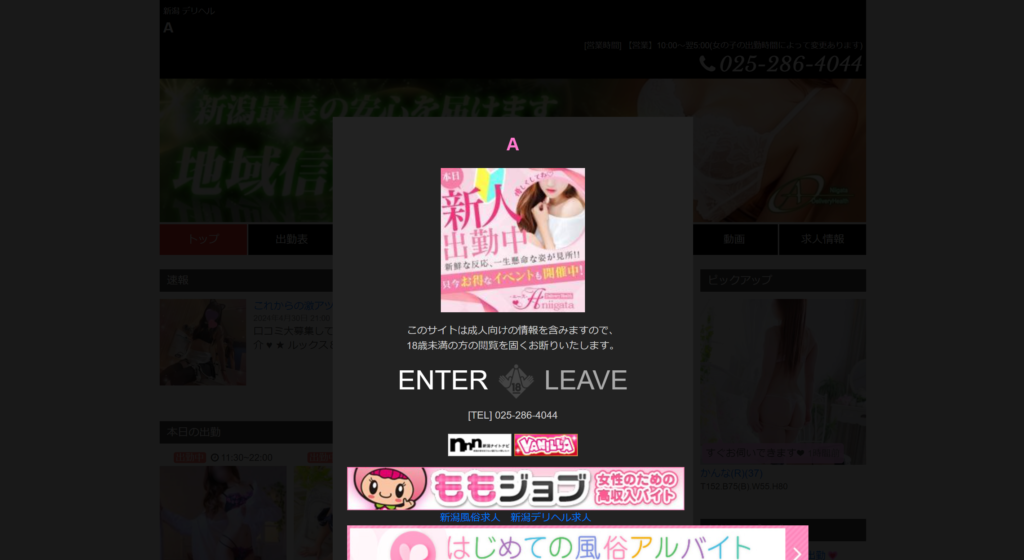 【新潟市・デリヘル】エース