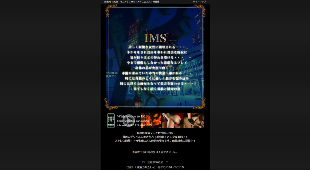 【錦糸町・M性感】IMS