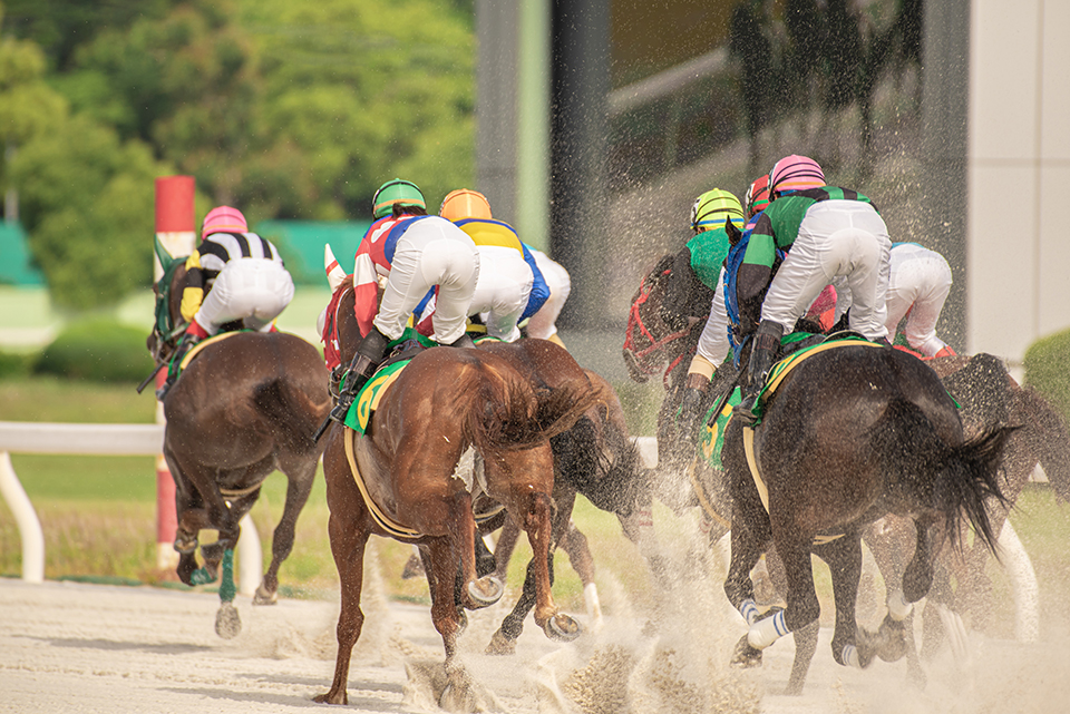 競馬